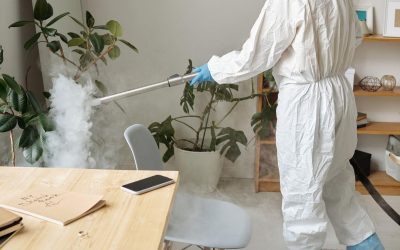 Reducing Touchpoint Build-Up in Offices During Colder Months